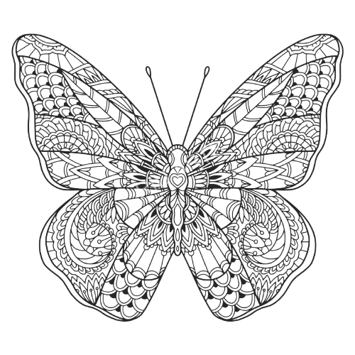 Decorative Butterfly Right